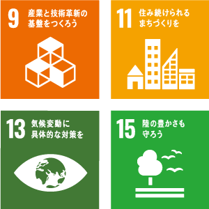 SDGs9_11_13_15